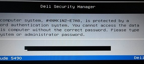 dell E7A8 Bios master password
