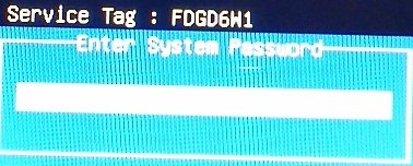 dell service tag password